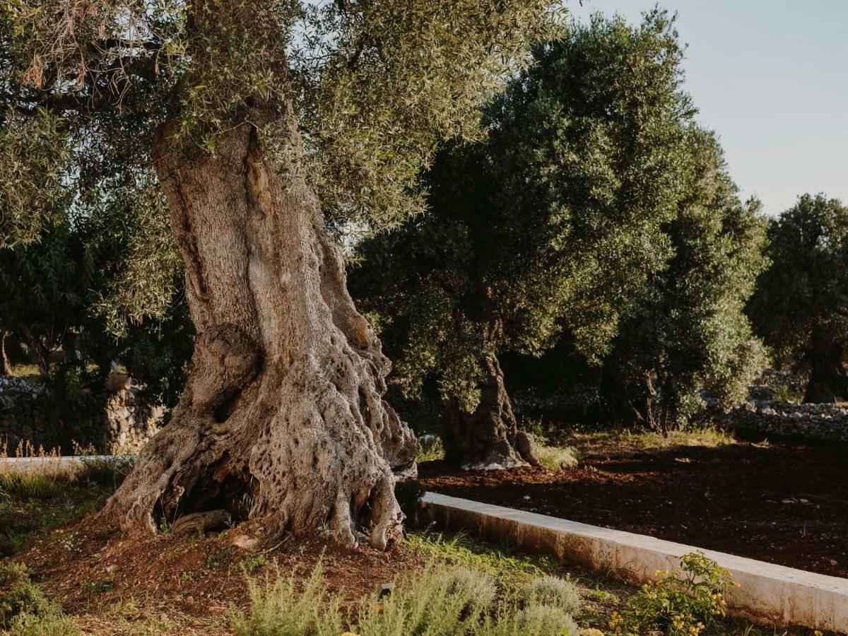 Masseria Dagilupi Ostuni Exterior photo